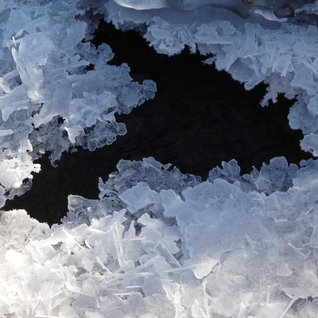 Des cristaux de givre en éventail bordent une trouée d'eau noire, macrophotographie de la glace au bord du lac.