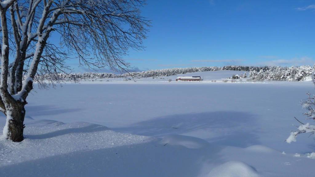 Notre écolodge dans le Cantal sous la neige. L'écrin idéal pour un séjour Slow Travel et bien-être cet hiver.