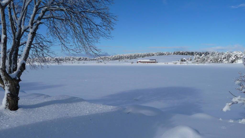 Notre écolodge dans le Cantal sous la neige. L'écrin idéal pour un séjour Slow Travel et bien-être cet hiver.